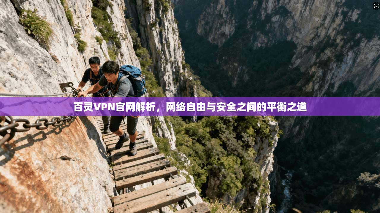 百灵VPN官网解析，网络自由与安全之间的平衡之道