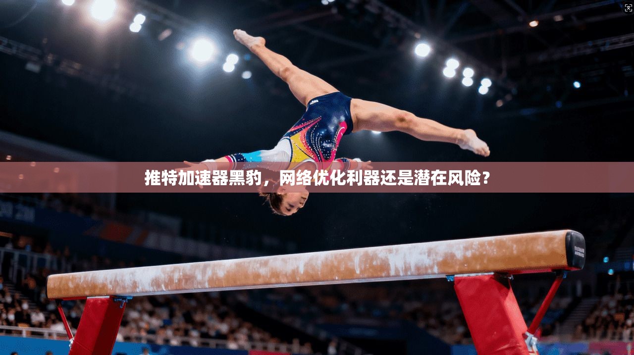 推特加速器黑豹，网络优化利器还是潜在风险？