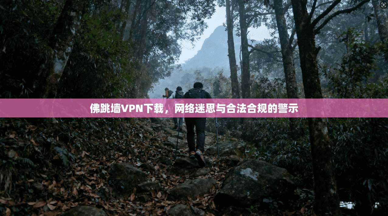 佛跳墙VPN下载，网络迷思与合法合规的警示