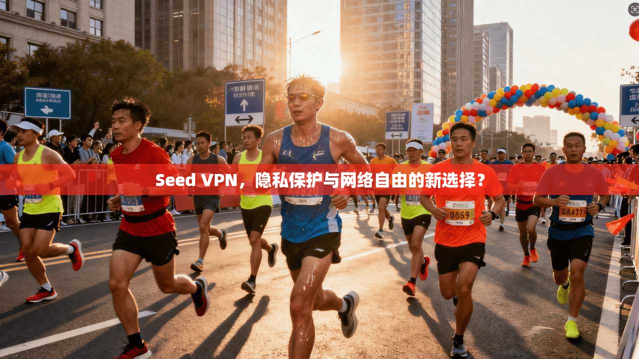 Seed VPN，隐私保护与网络自由的新选择？