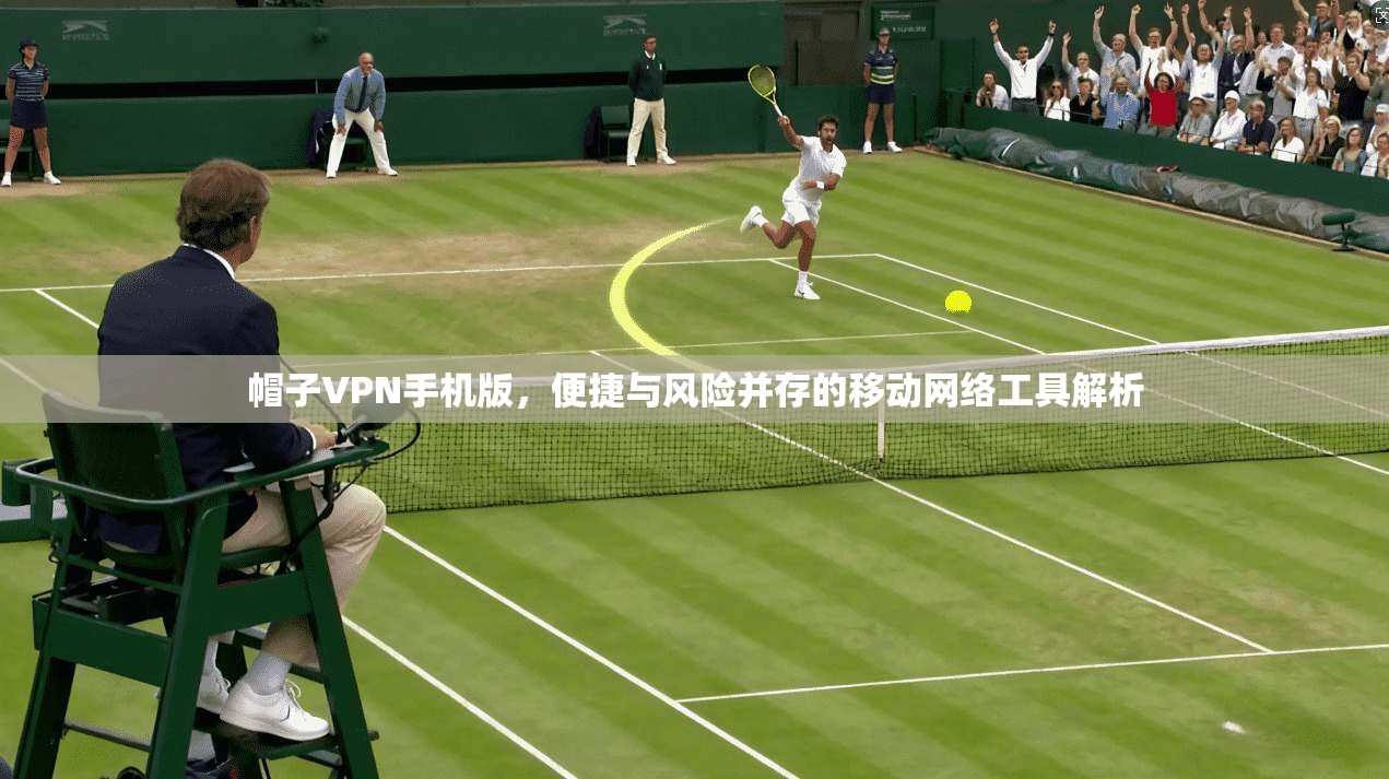 帽子VPN手机版，便捷与风险并存的移动网络工具解析