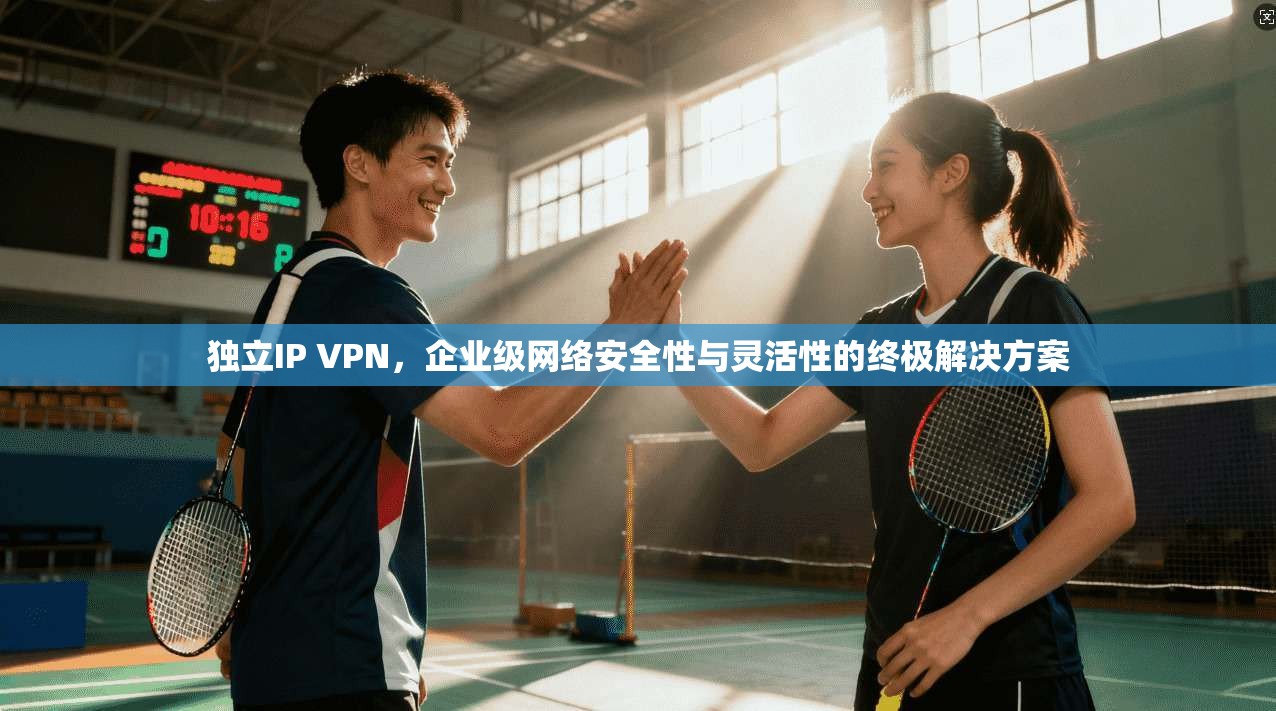 独立IP VPN,企业级网络安全性与灵活性的终极解决方案