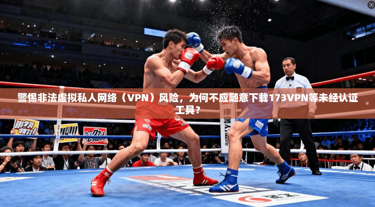 警惕非法虚拟私人网络（VPN）风险，为何不应随意下载173VPN等未经认证工具？