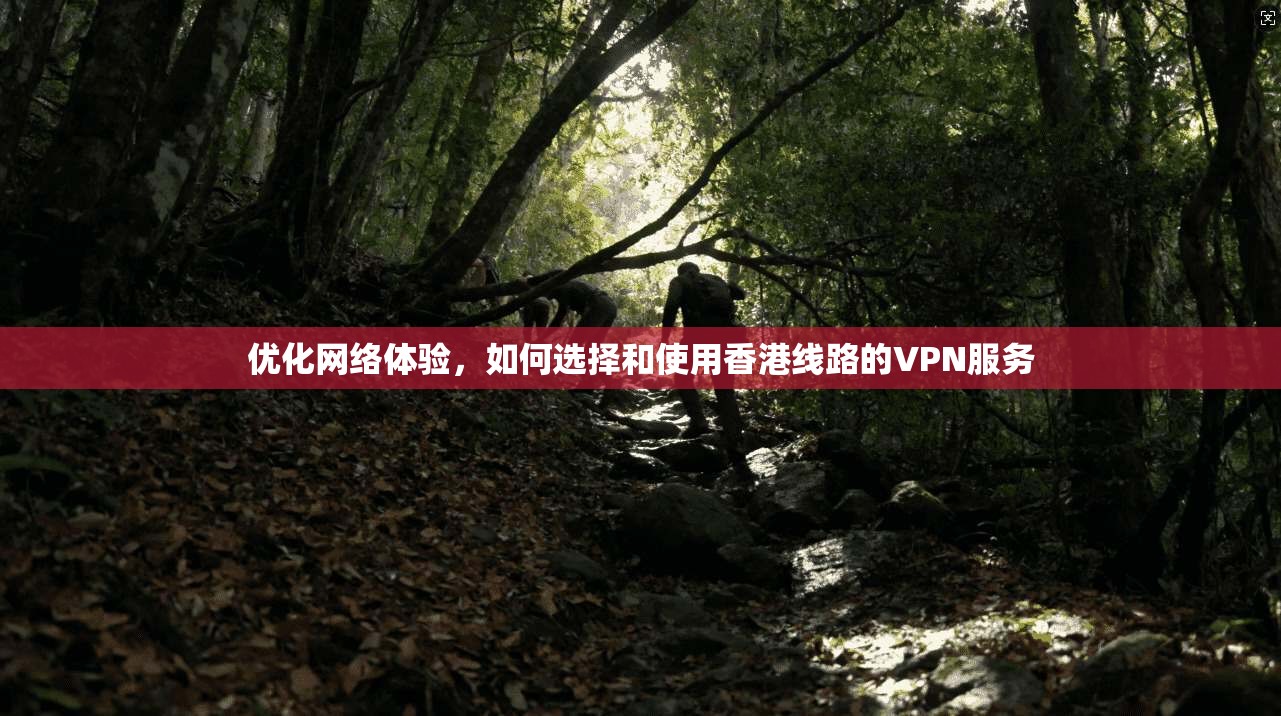 优化网络体验,如何选择和使用香港线路的VPN服务 优化网络体验,如何选择和使用香港线路的VPN服务
