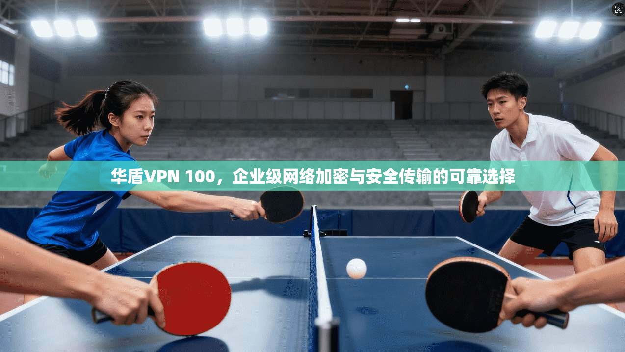 华盾VPN 100,企业级网络加密与安全传输的可靠选择