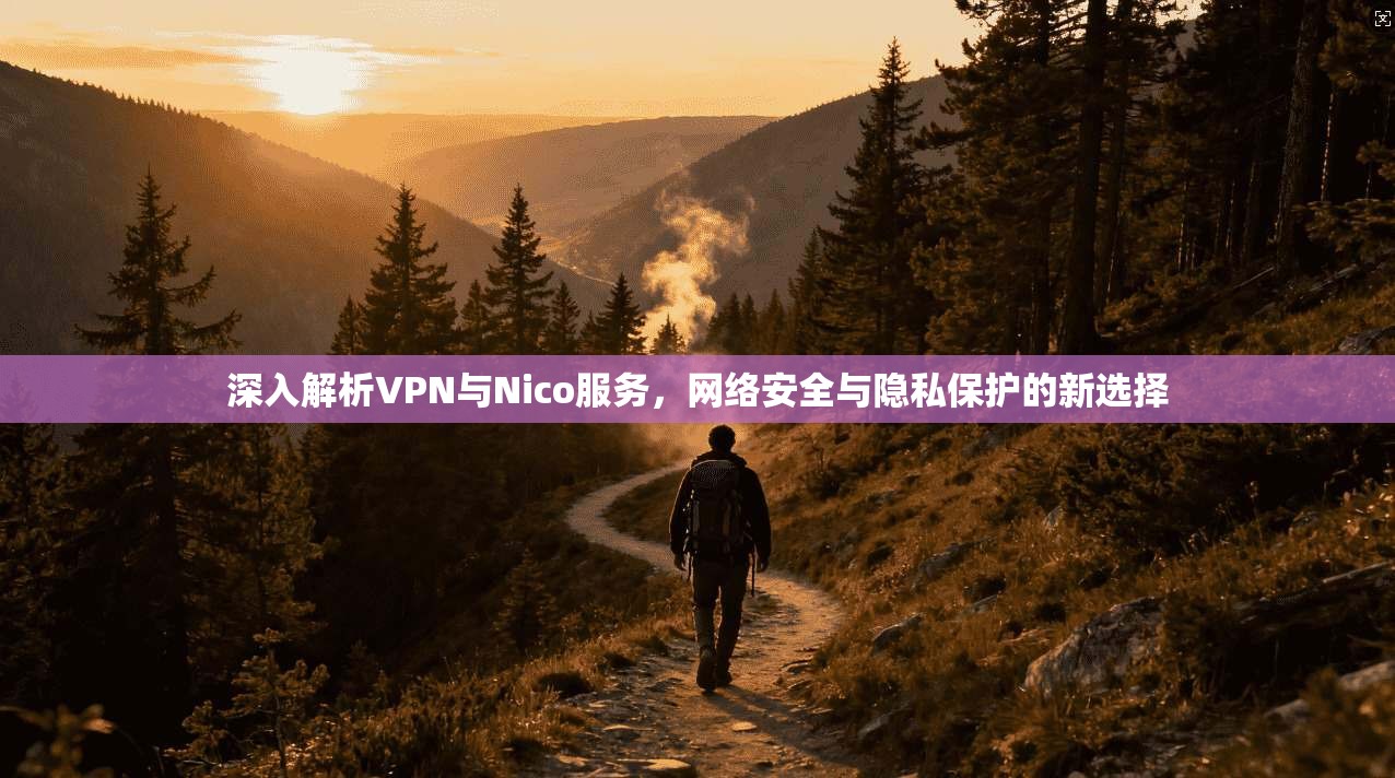 深入解析VPN与Nico服务，网络安全与隐私保护的新选择