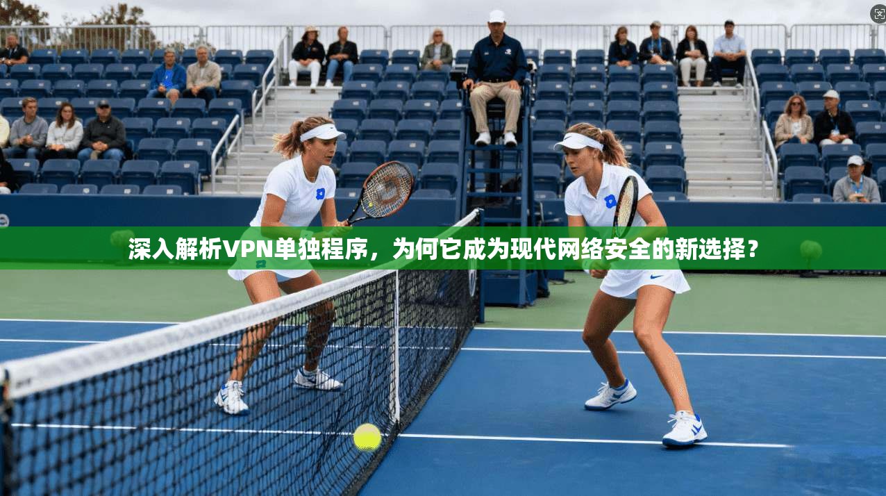 深入解析VPN单独程序，为何它成为现代网络安全的新选择？