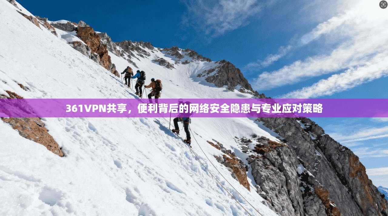 361VPN共享，便利背后的网络安全隐患与专业应对策略