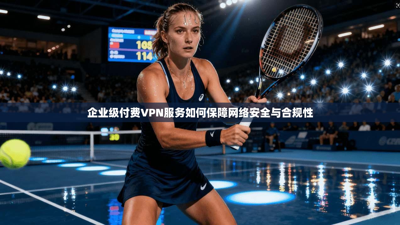企业级付费VPN服务如何保障网络安全与合规性