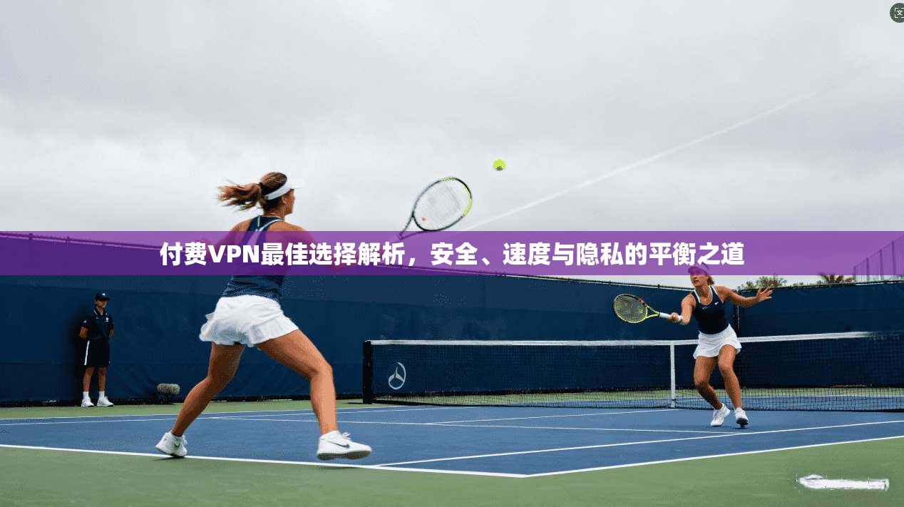 付费VPN最佳选择解析，安全、速度与隐私的平衡之道