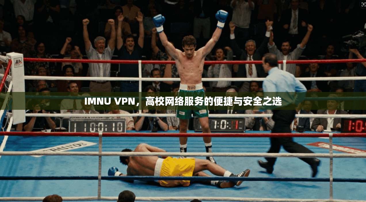 IMNU VPN，高校网络服务的便捷与安全之选