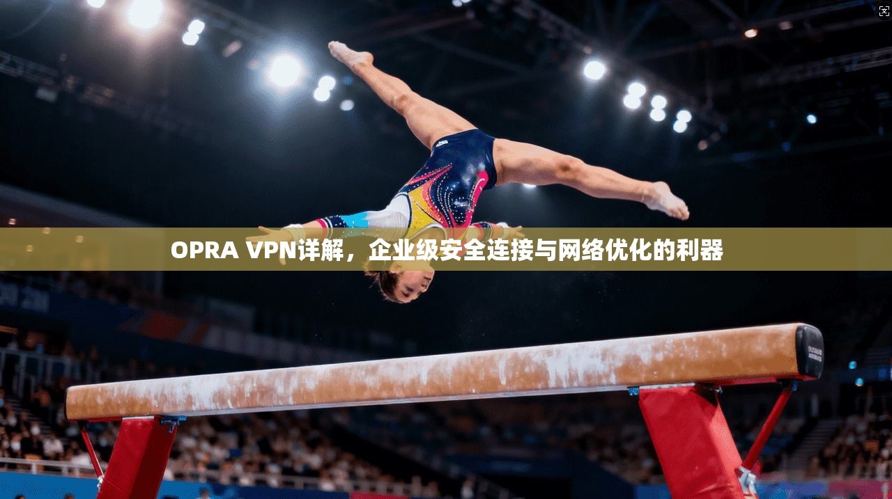 OPRA VPN详解，企业级安全连接与网络优化的利器