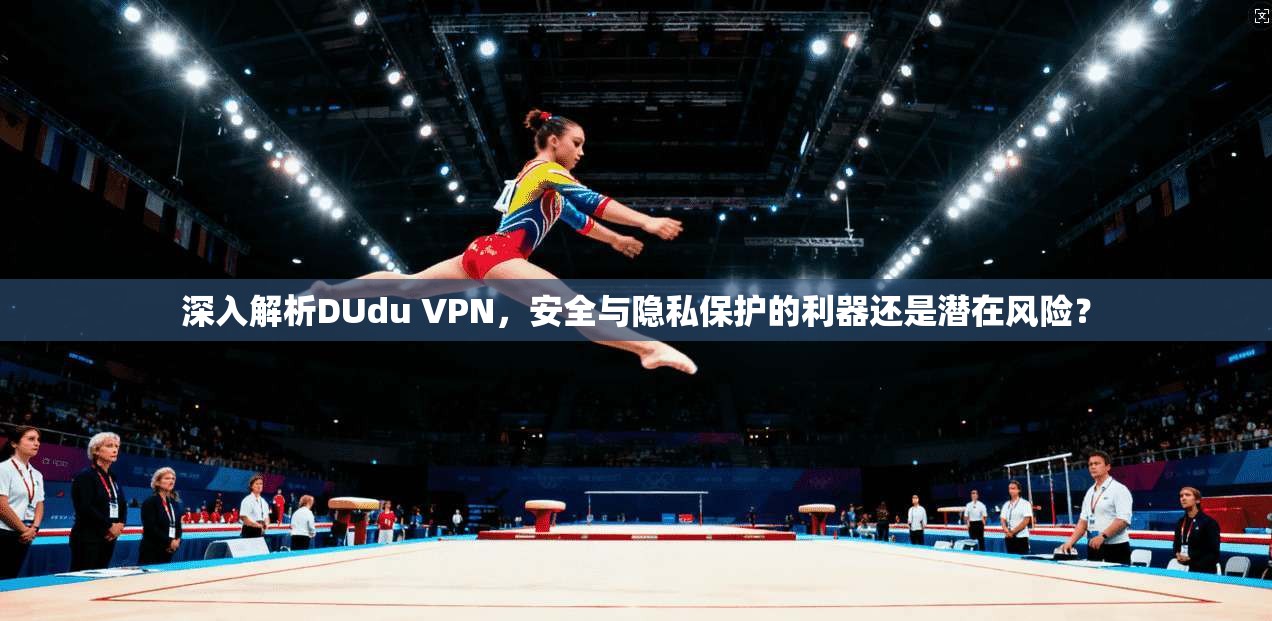 深入解析DUdu VPN，安全与隐私保护的利器还是潜在风险？