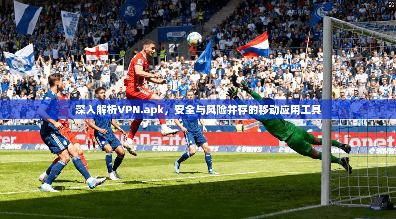 深入解析VPN.apk，安全与风险并存的移动应用工具