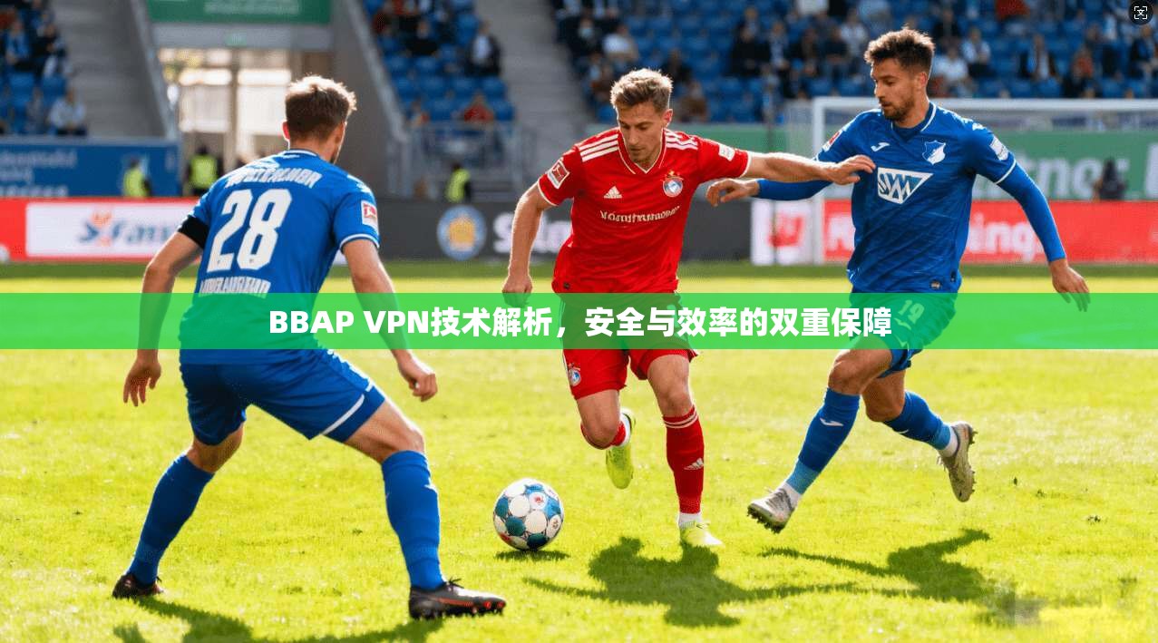 BBAP VPN技术解析，安全与效率的双重保障