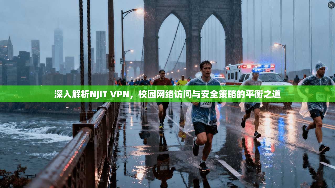 深入解析NJIT VPN，校园网络访问与安全策略的平衡之道