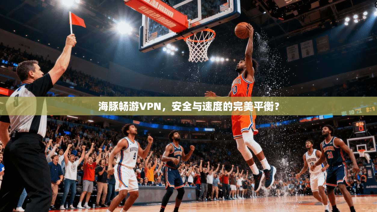海豚畅游VPN，安全与速度的完美平衡？