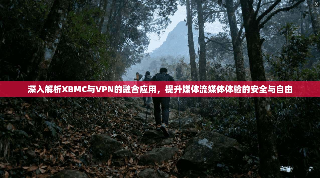深入解析XBMC与VPN的融合应用，提升媒体流媒体体验的安全与自由