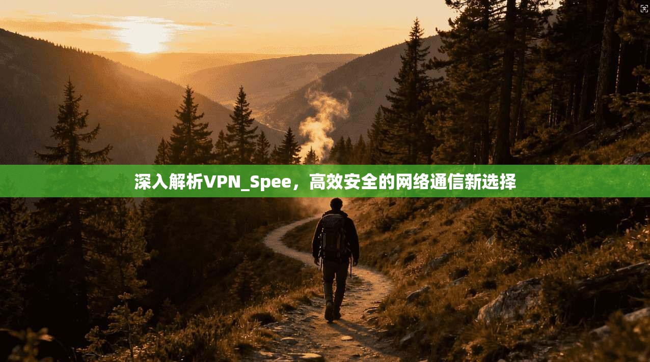 深入解析VPN_Spee，高效安全的网络通信新选择