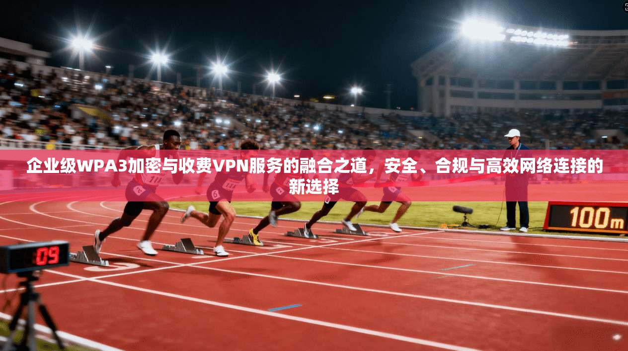 企业级WPA3加密与收费VPN服务的融合之道，安全、合规与高效网络连接的新选择