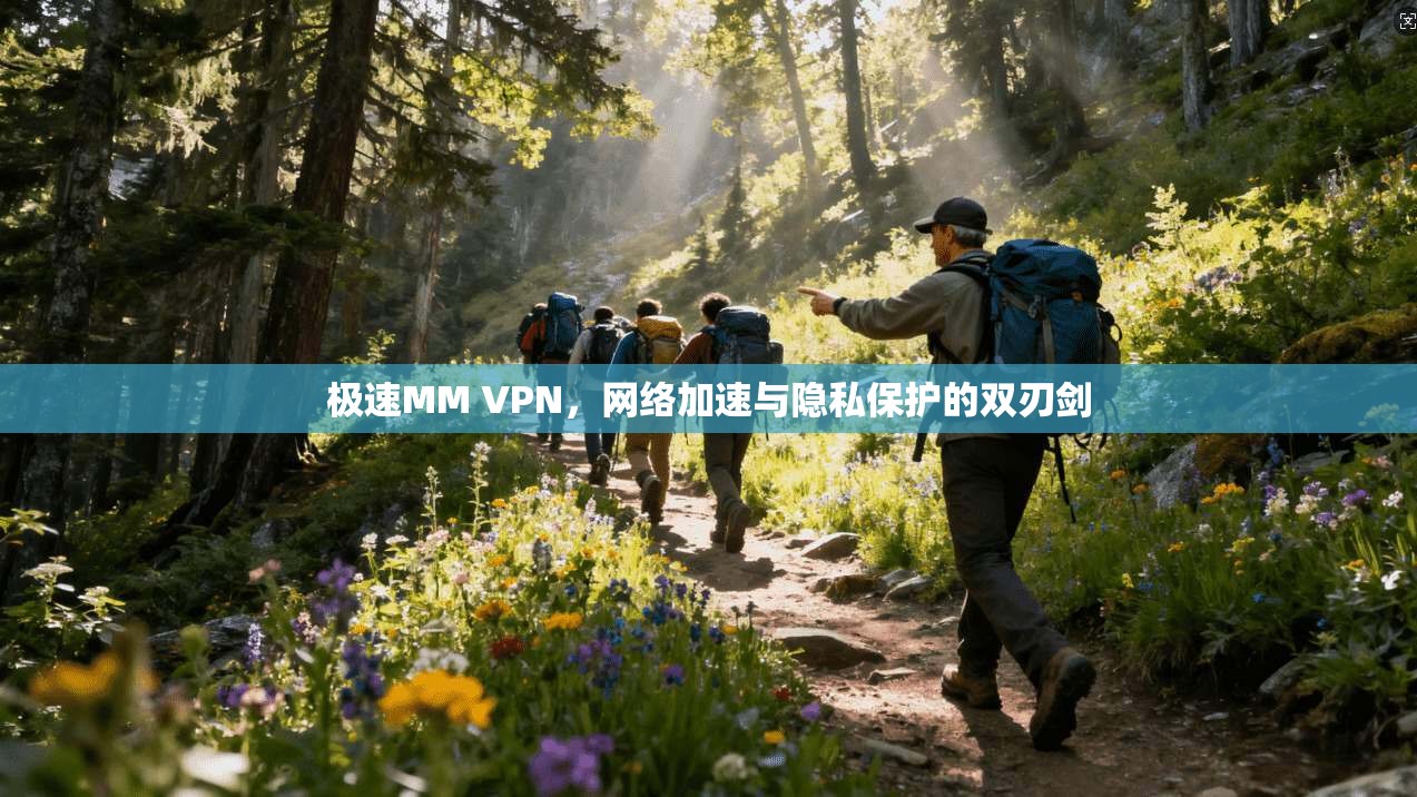 极速MM VPN，网络加速与隐私保护的双刃剑