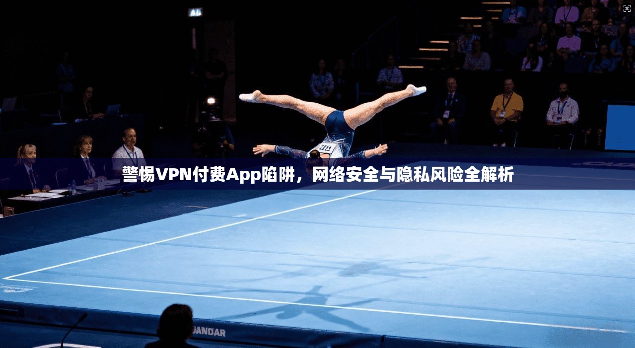 警惕VPN付费App陷阱，网络安全与隐私风险全解析