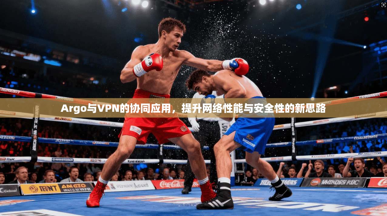 Argo与VPN的协同应用,提升网络性能与安全性的新思路