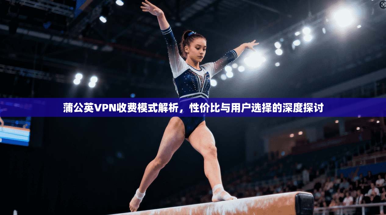 蒲公英VPN收费模式解析,性价比与用户选择的深度探讨