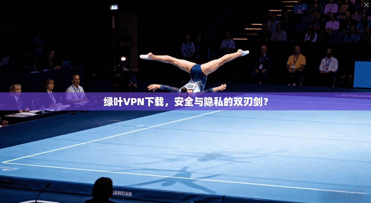 绿叶VPN下载，安全与隐私的双刃剑？