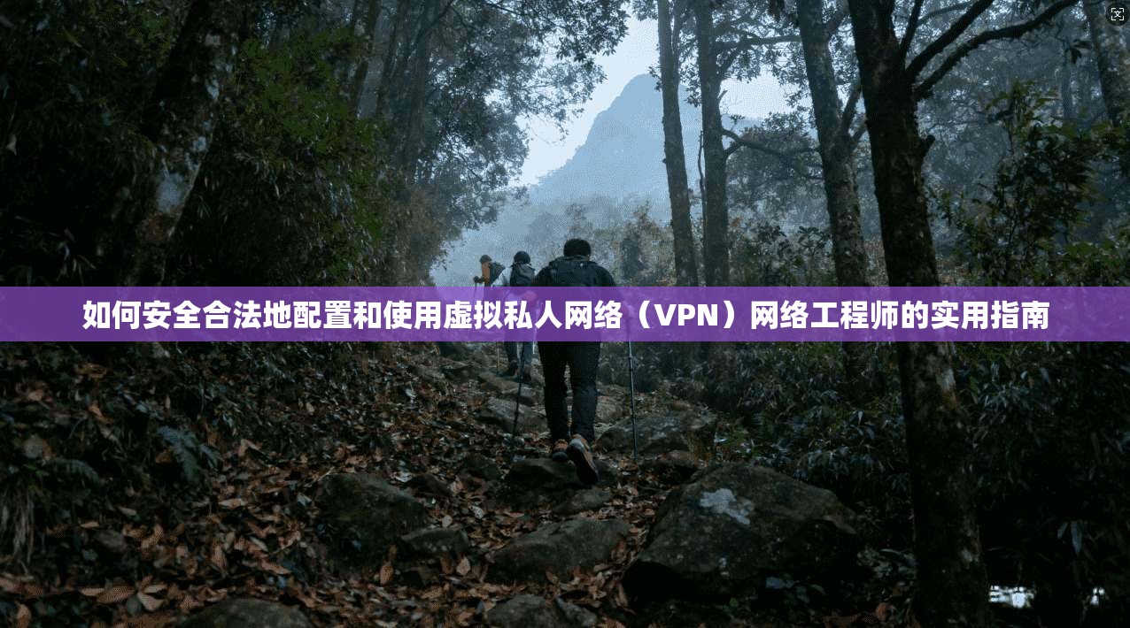 如何安全合法地配置和使用虚拟私人网络(VPN)网络工程师的实用指南