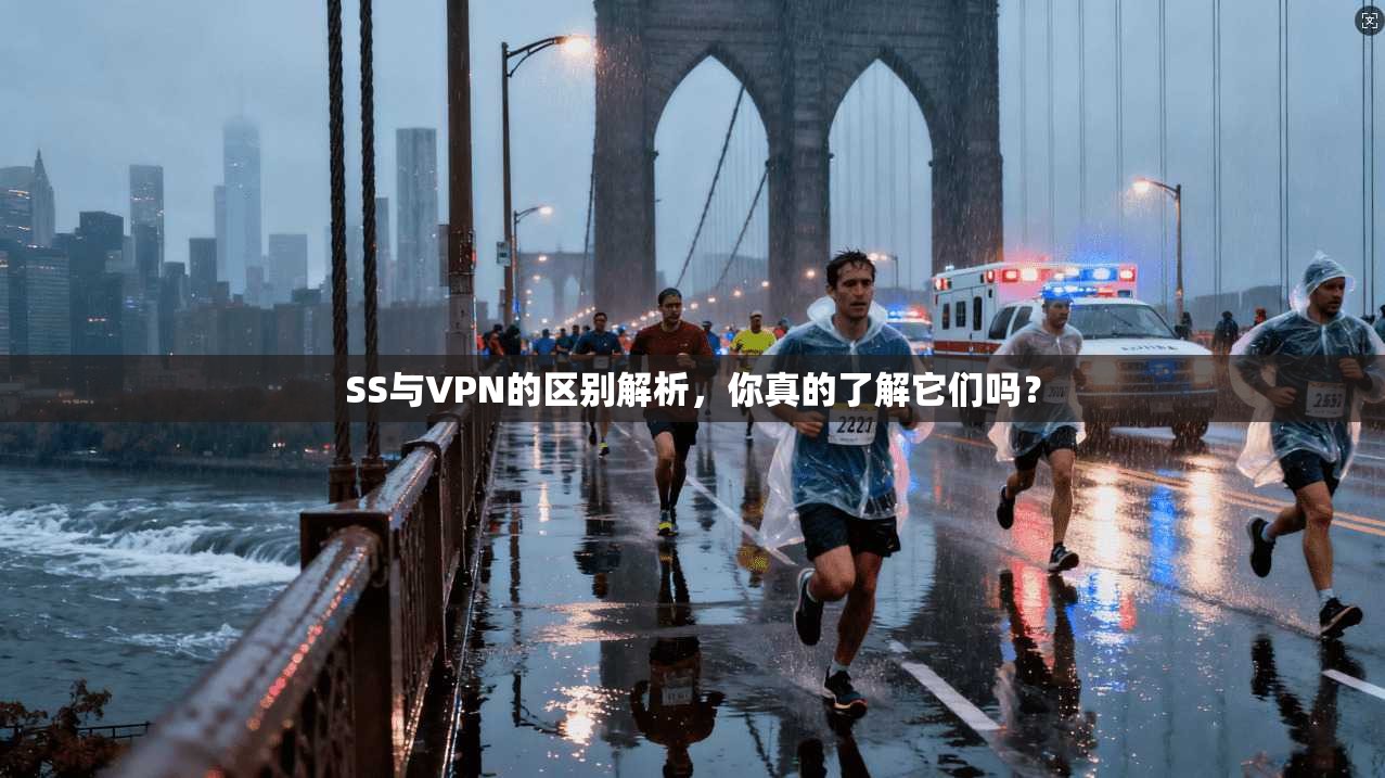 SS与VPN的区别解析，你真的了解它们吗？