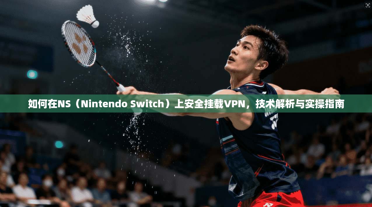 如何在NS（Nintendo Switch）上安全挂载VPN，技术解析与实操指南