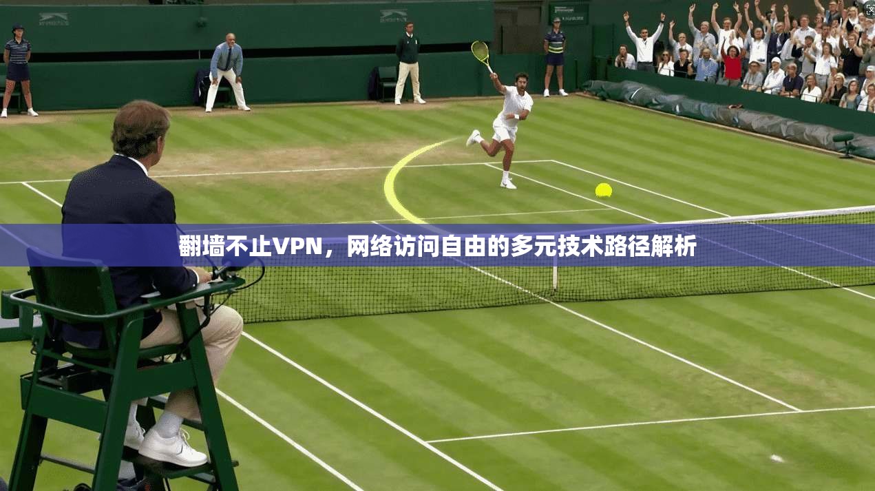 翻墙不止VPN，网络访问自由的多元技术路径解析
