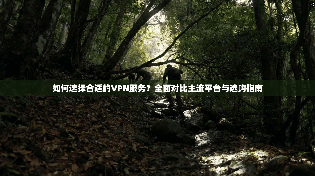 如何选择合适的VPN服务?全面对比主流平台与选购指南