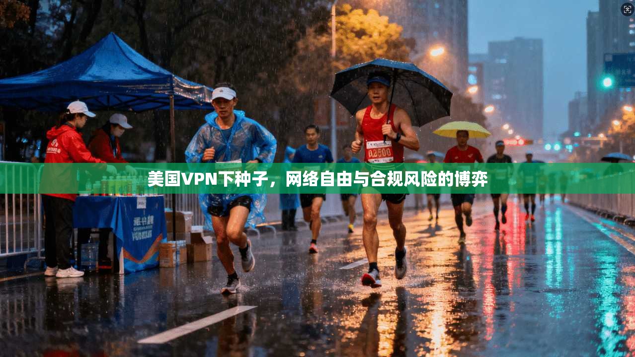美国VPN下种子，网络自由与合规风险的博弈