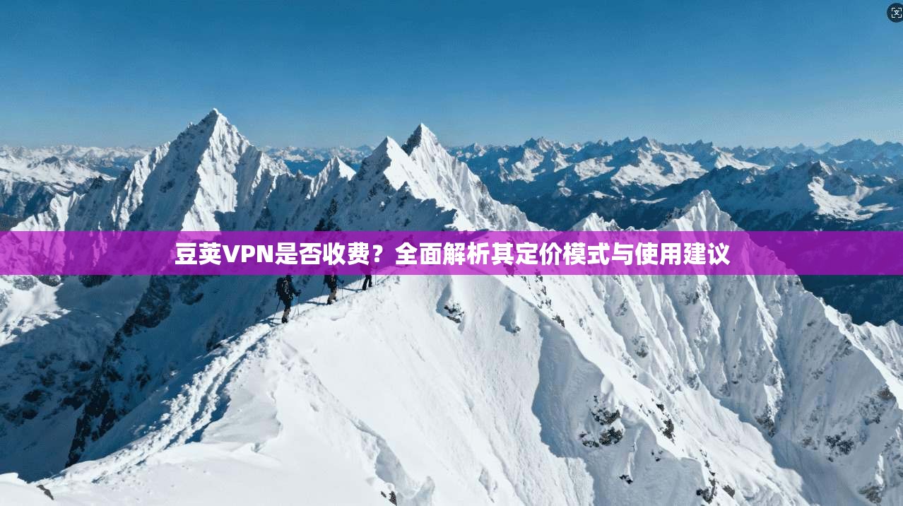 豆荚VPN是否收费？全面解析其定价模式与使用建议