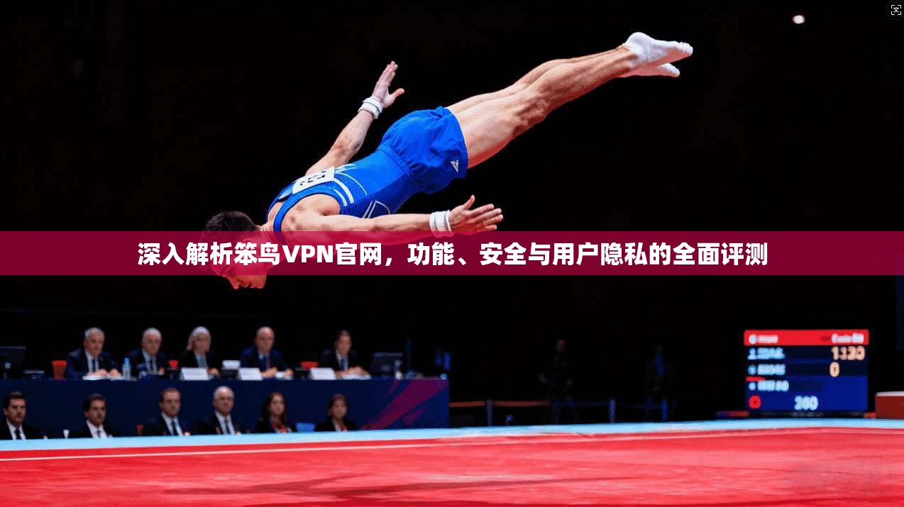 深入解析笨鸟VPN官网,功能、安全与用户隐私的全面评测