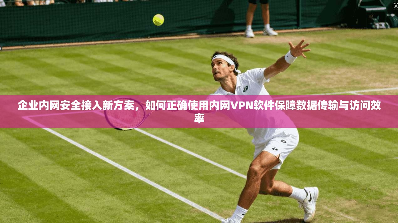 企业内网安全接入新方案，如何正确使用内网VPN软件保障数据传输与访问效率