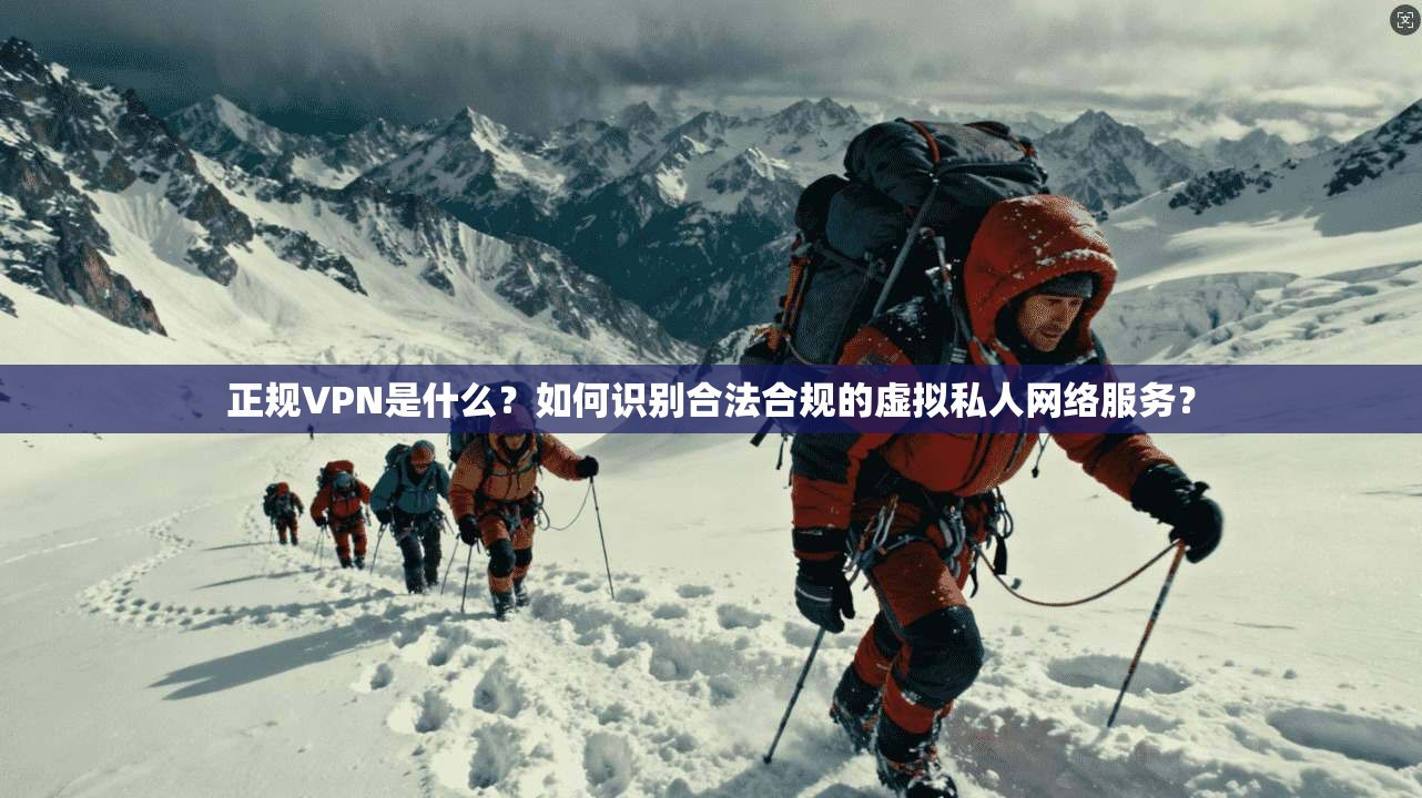正规VPN是什么？如何识别合法合规的虚拟私人网络服务？