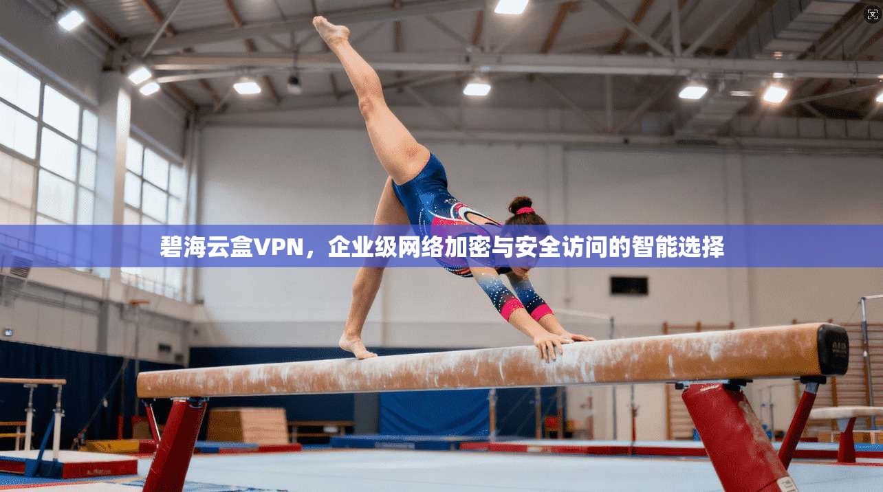 碧海云盒VPN，企业级网络加密与安全访问的智能选择