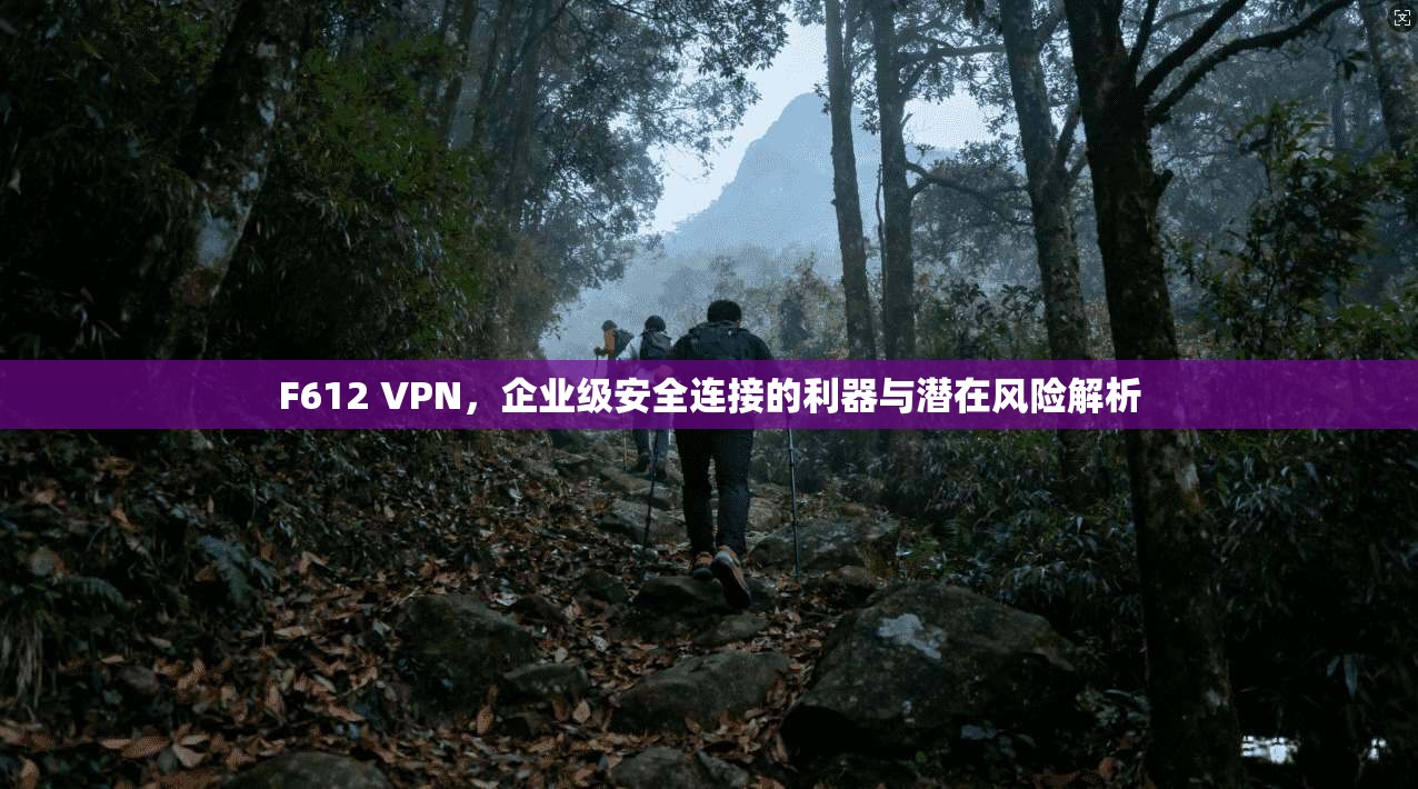F612 VPN,企业级安全连接的利器与潜在风险解析
