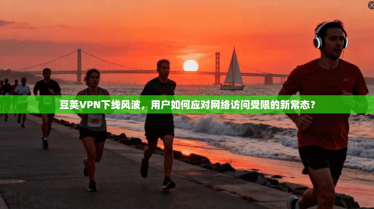 豆荚VPN下线风波，用户如何应对网络访问受限的新常态？