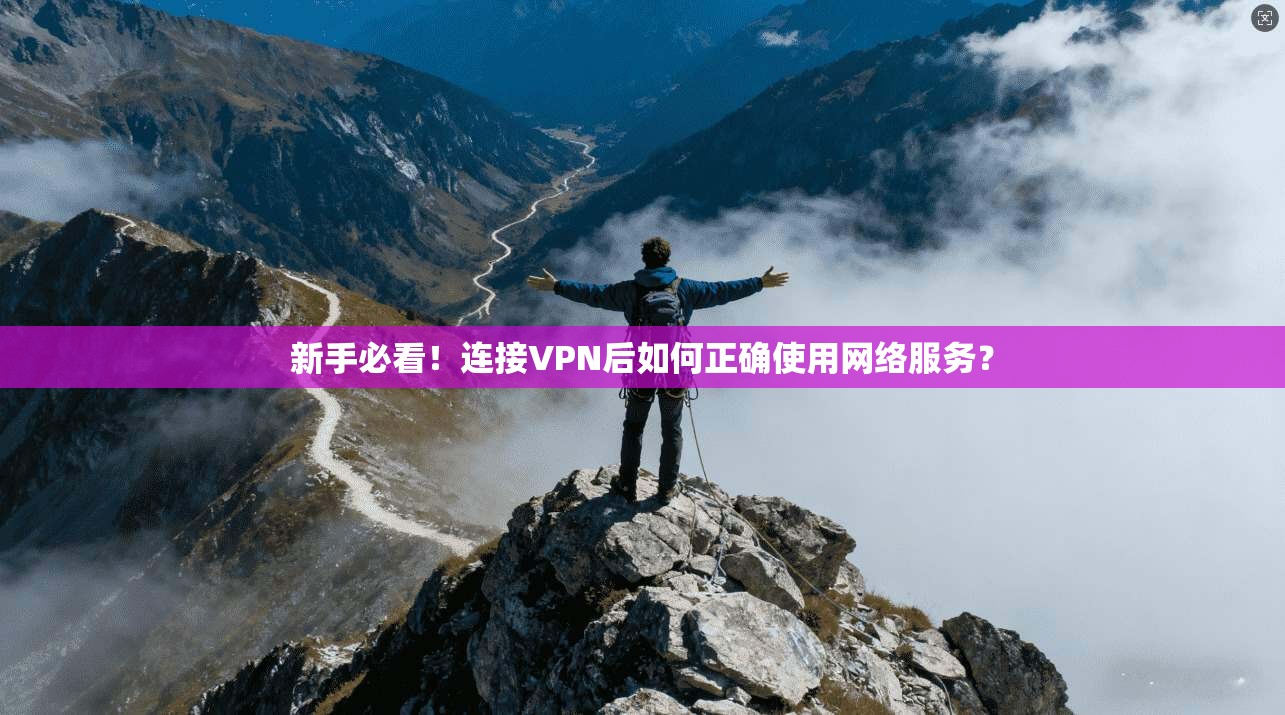 新手必看！连接VPN后如何正确使用网络服务？