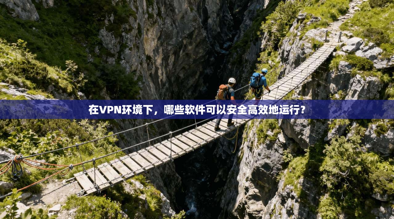 在VPN环境下，哪些软件可以安全高效地运行？