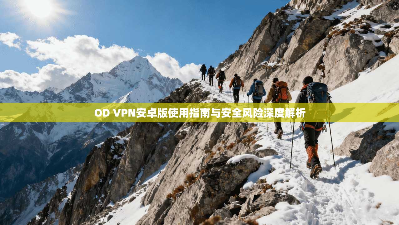 OD VPN安卓版使用指南与安全风险深度解析