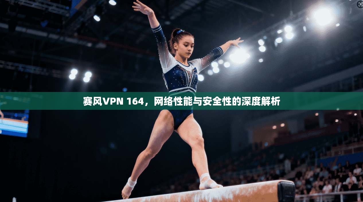 赛风VPN 164，网络性能与安全性的深度解析
