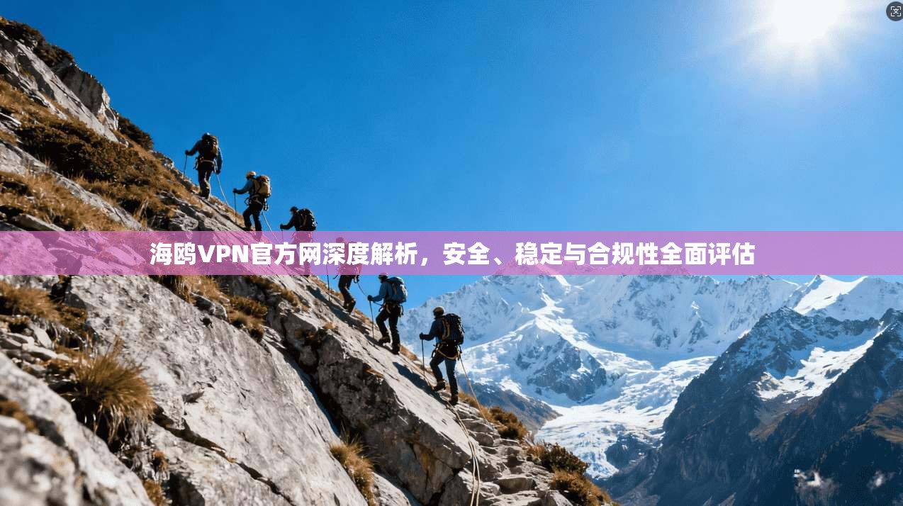 海鸥VPN官方网深度解析,安全、稳定与合规性全面评估