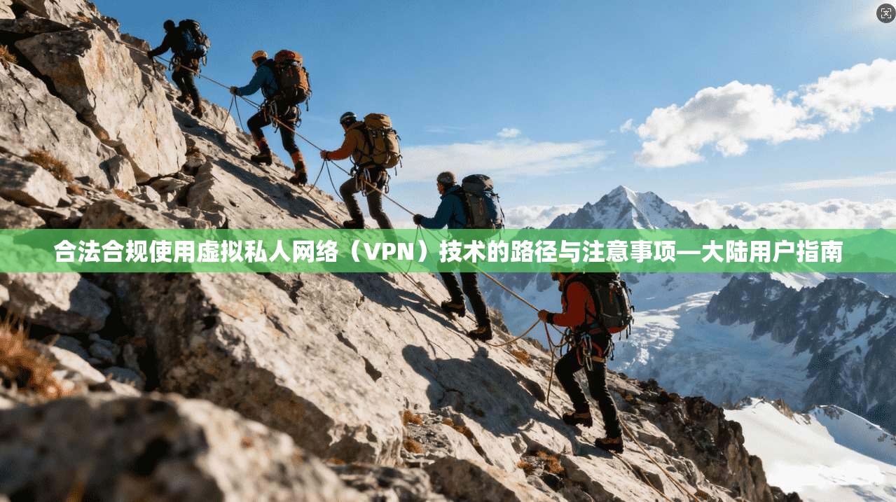 合法合规使用虚拟私人网络（VPN）技术的路径与注意事项—大陆用户指南