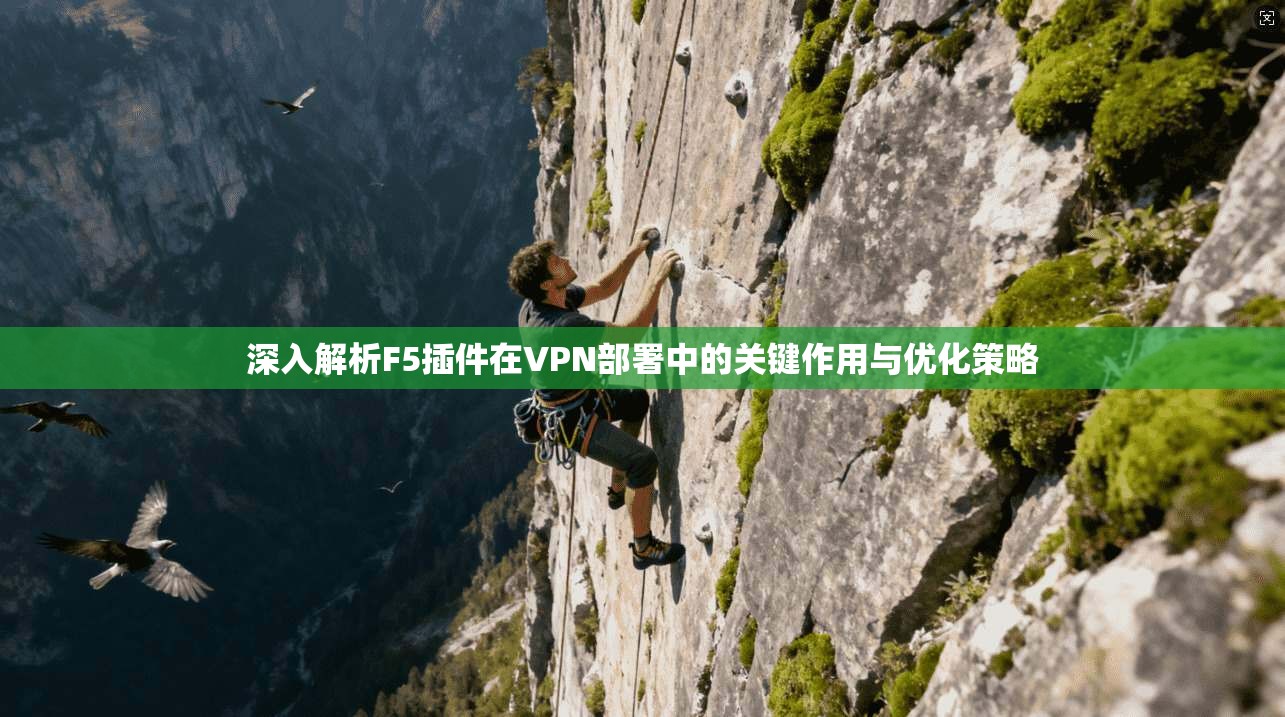 深入解析F5插件在VPN部署中的关键作用与优化策略