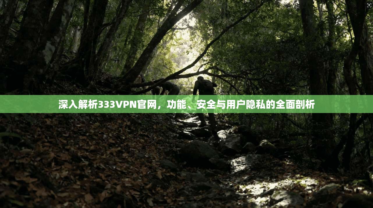 深入解析333VPN官网，功能、安全与用户隐私的全面剖析